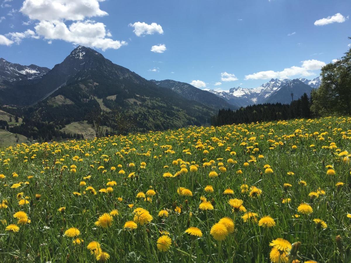 Bergfex Ifenblick Mit Sommer-Bergbahnticket Oberstdorf Zewnętrze zdjęcie